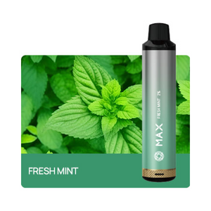 ELUX MAX 4000 Fresh Mint